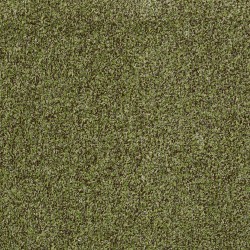 Mossy Bark (Closeout)