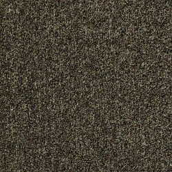 Arbor View (t) - Walnut Shell