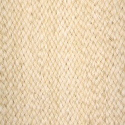 Sesame