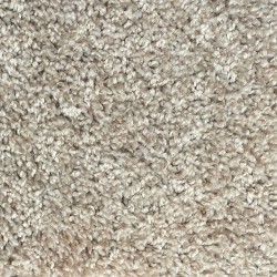 New Wave - Carpet Express Deals - Fall Sale 2024 New Wave - Carpet Express Deals - Fall Sale 2024