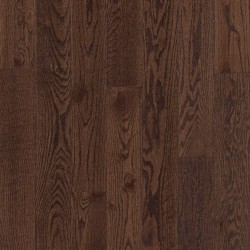 Tudor Brown color swatch