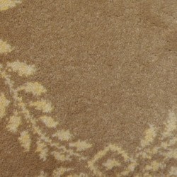 Chamois color swatch