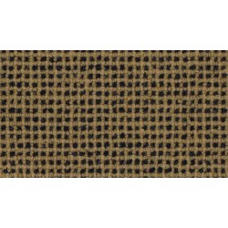 Poppyseed