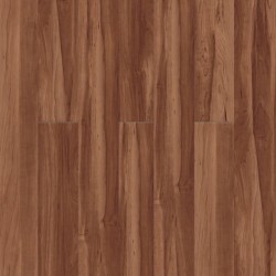 Sugar Maple
