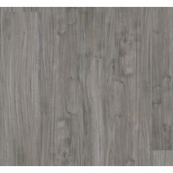 Graphite Acacia