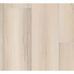 Aspen Maple