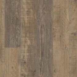 Parchment Oak