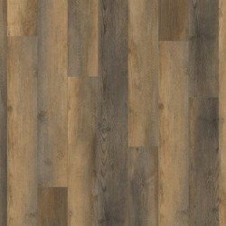 Amber Pine