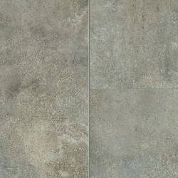 Cavernous Gray color swatch