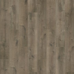 Oyster Oak