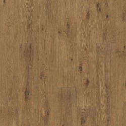 Brown Bark Oak