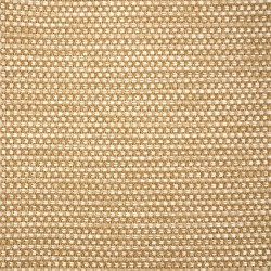 Golden Wheat