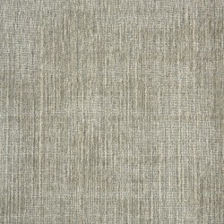 Grey Frost