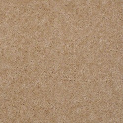 Balsa Wood