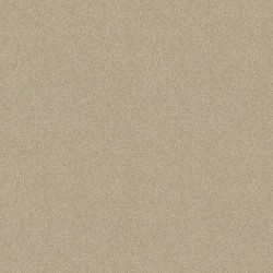 Oyster Pearl color swatch