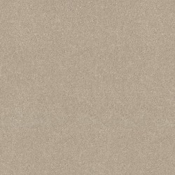 Sand Dune color swatch