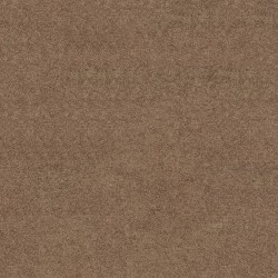 Sequoia color swatch