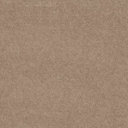 Mocha Nut color swatch