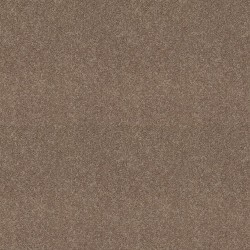 Mountain Path color swatch