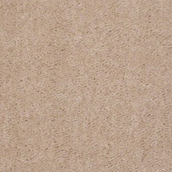 Carmel Dust