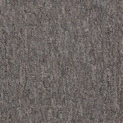 Sand Piper