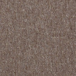 Pecan