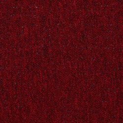 Cardinal