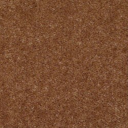Amber Wood