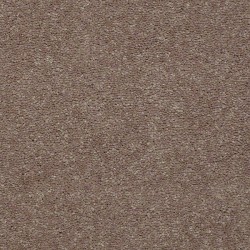 Fossil