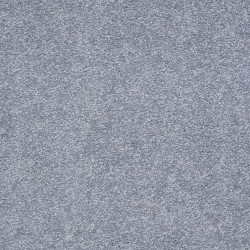 Blue Suede