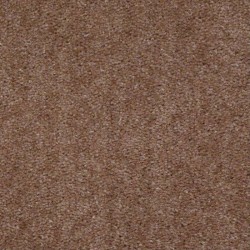 Buckskin