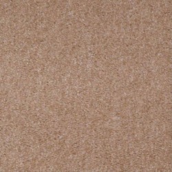 Stucco