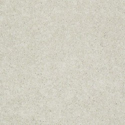 7101
