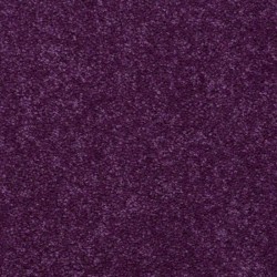 7950