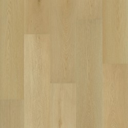 Macadamia