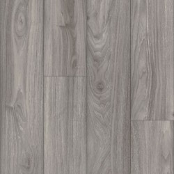 Day Dreamy Gray