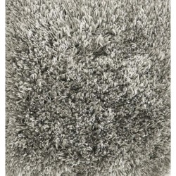 Iron