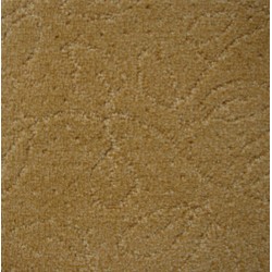 Caravan color swatch