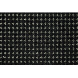 Raven color swatch