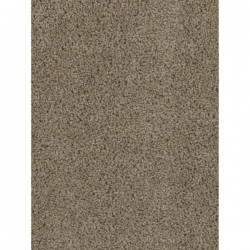 SP250 - Honey Beige