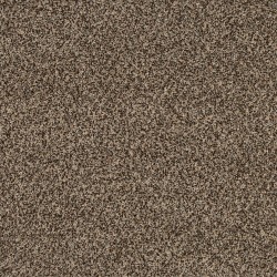 Salutation color swatch
