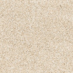 Sugar Cone color swatch