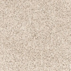 Snow Path color swatch