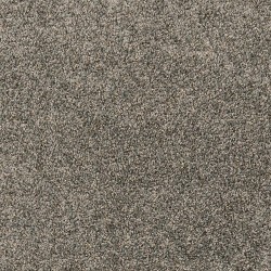 Ash color swatch