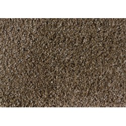 Metallic Beige