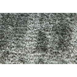 Shaggy Pop - Mineral