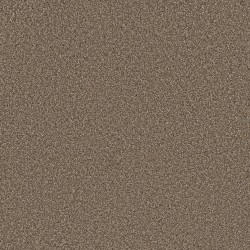Acorn