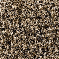 Phenix Carpet - Save 30-50%