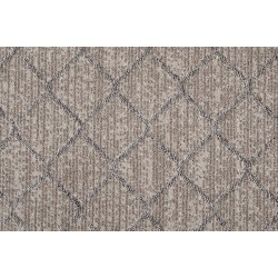 Oyster Grey