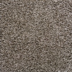 Pebble